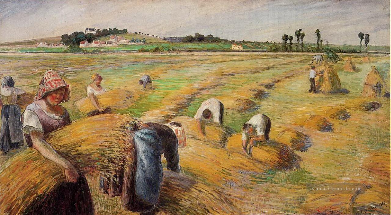 die Ernte 1882 Camille Pissarro Ölgemälde